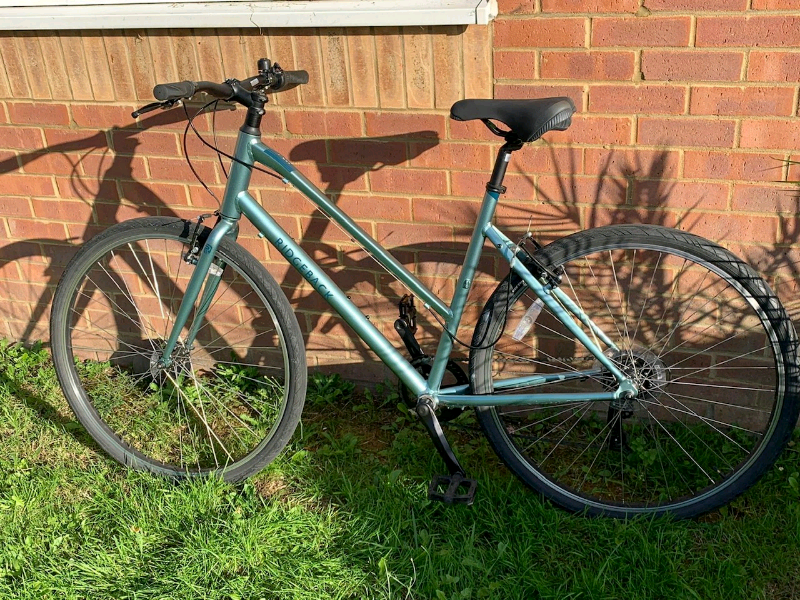 ridgeback comet 2020